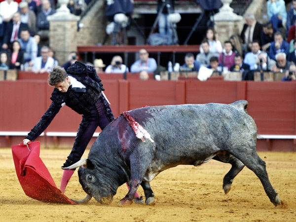 Araba la arena con la pala