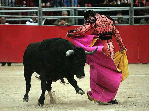 Astifino como �l solo