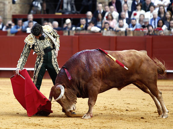 Cuaj� un trasteo estupendo