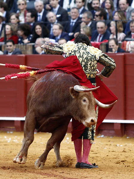 Imposible m�s ce�ido