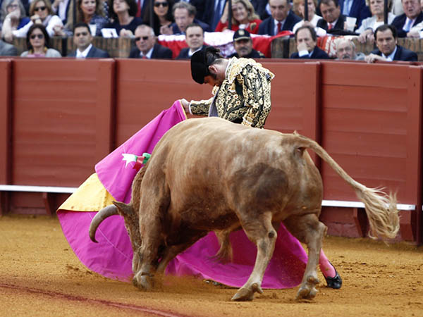 La barbilla encajada