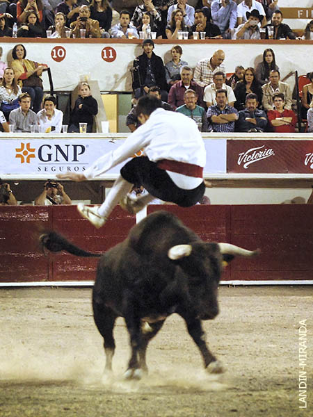 Saltos de exhibici�n