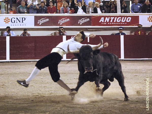 Le roz� con los pitones