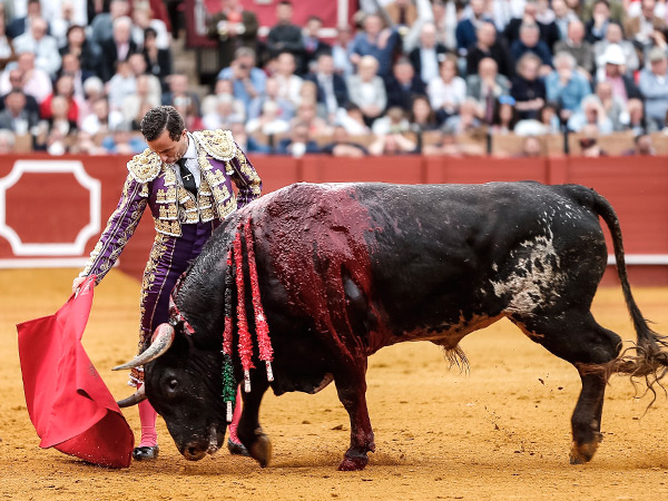 Exclente trazo de Rafaelillo