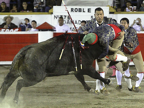 Forcados Amadores de Puebla