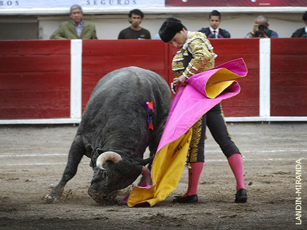 Poco eco en su debut