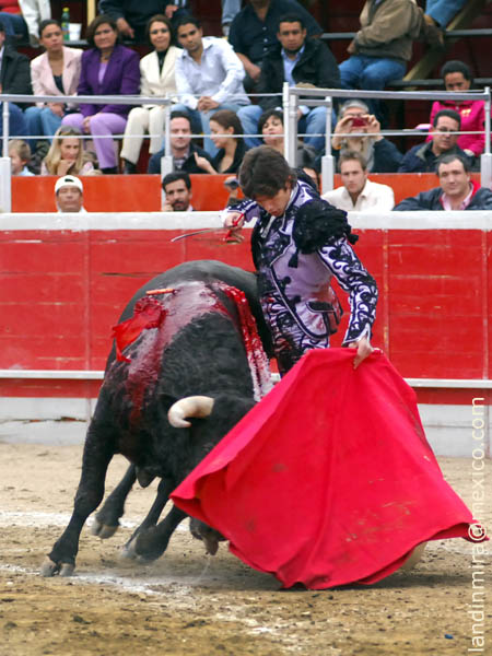 Dominio de las alturas