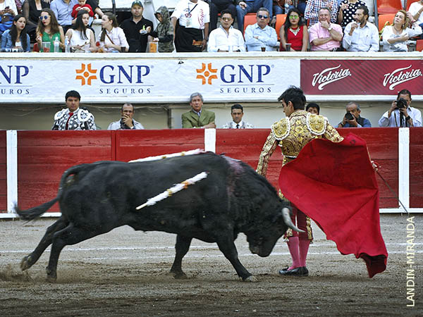 Inicio de faena en los medios