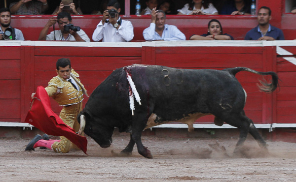 Primeros pases de hinojos