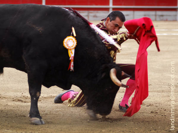 De hinojos en los medios