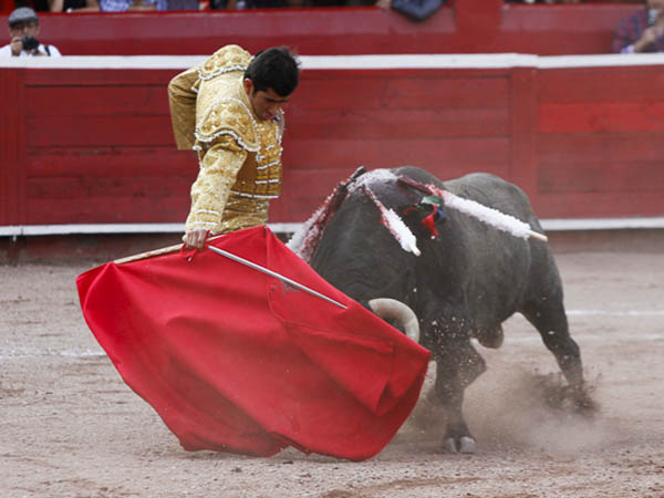 Tirando del c�rdeno