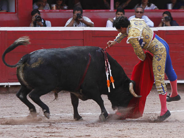 Un ca��n en el brazo