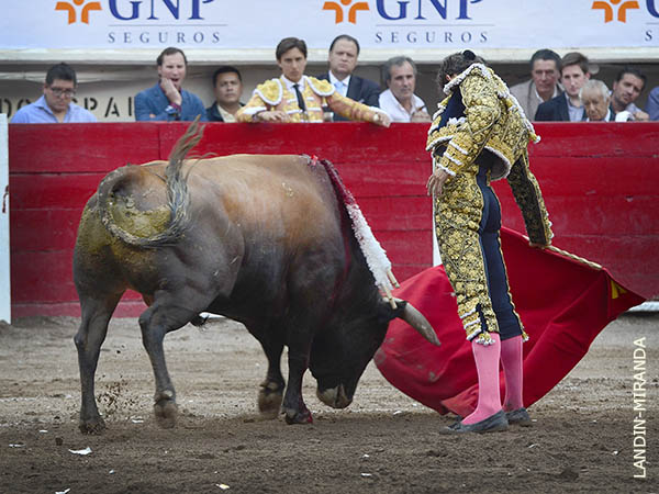 Muleta de terciopelo