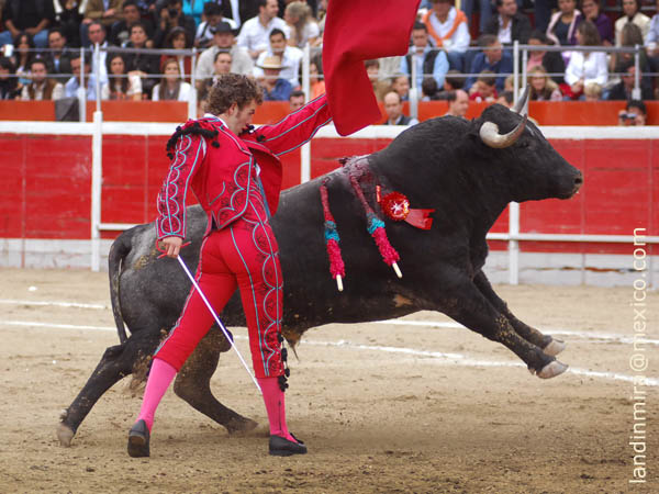 Desahogando por alto