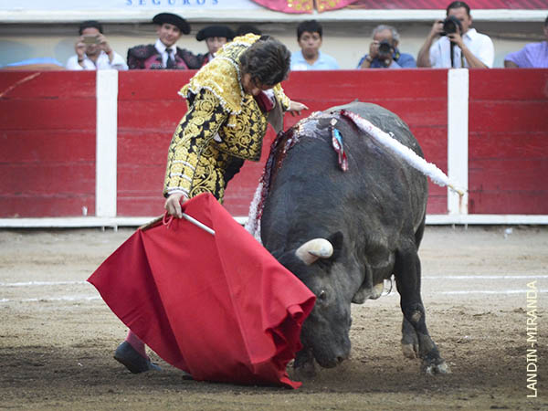 Sigue brotando la inspiraci�n