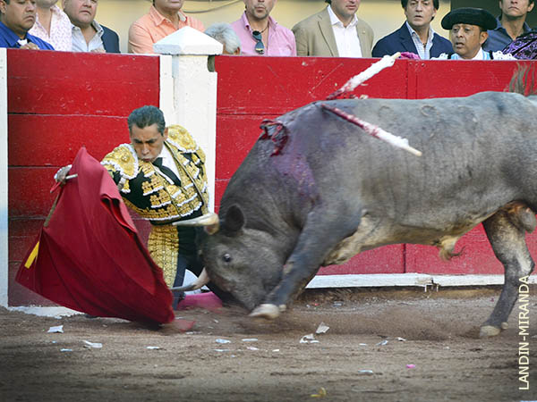 Ejemplar con transmisi�n