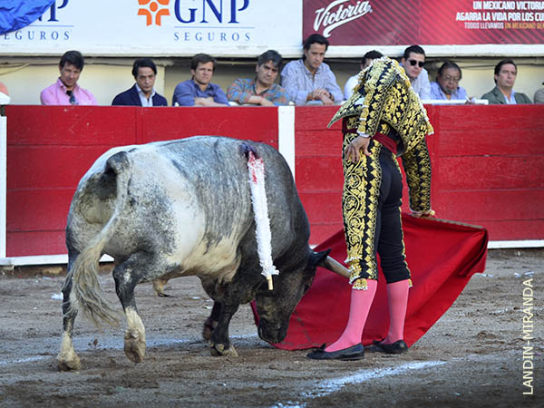 Suma a la estela de torer�a