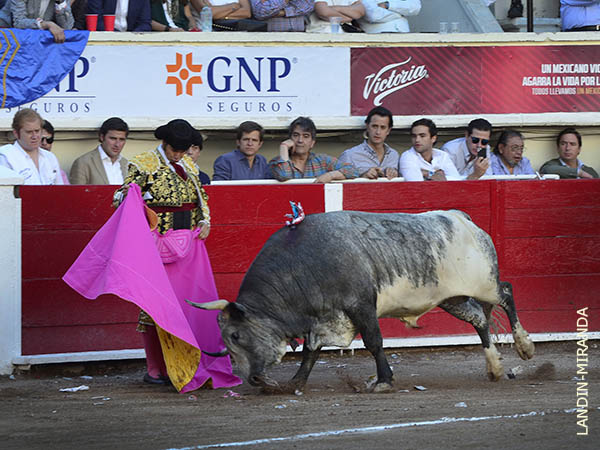 Con la mayor espontaneidad