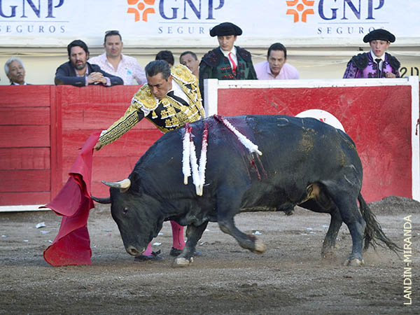 Temple de terciopelo