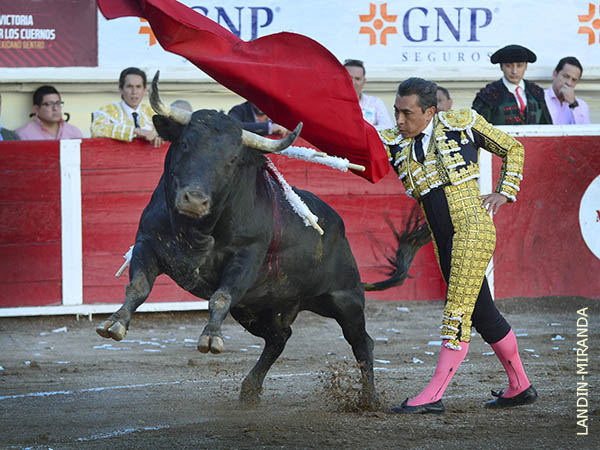 Su �ltima tarde en 