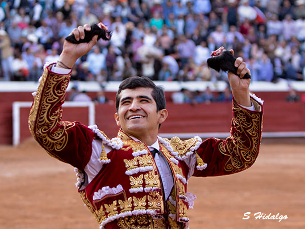 Dos orejas de merito