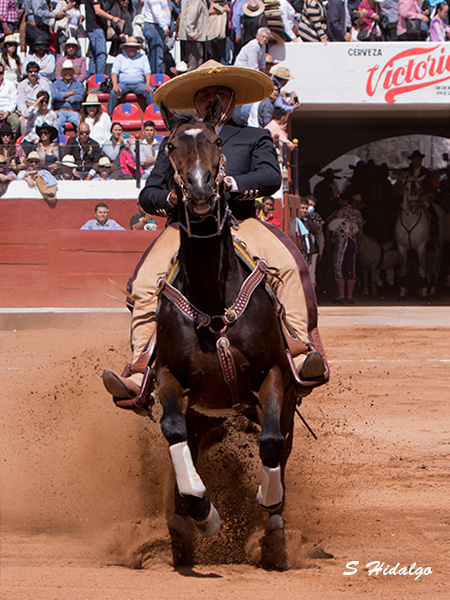 Demostraci�n Charra