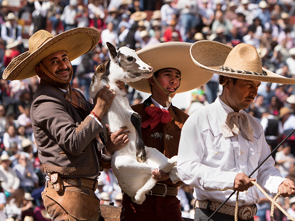 El becerro simbolo charro