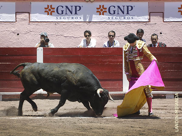 Lances de Andy Younes