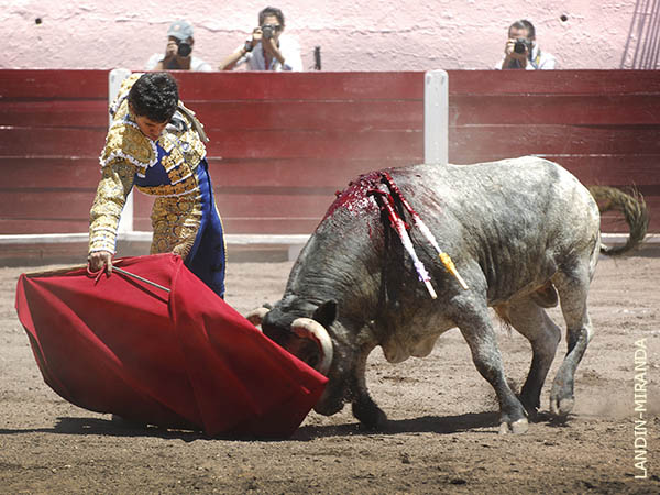 Tirando del c�rdeno