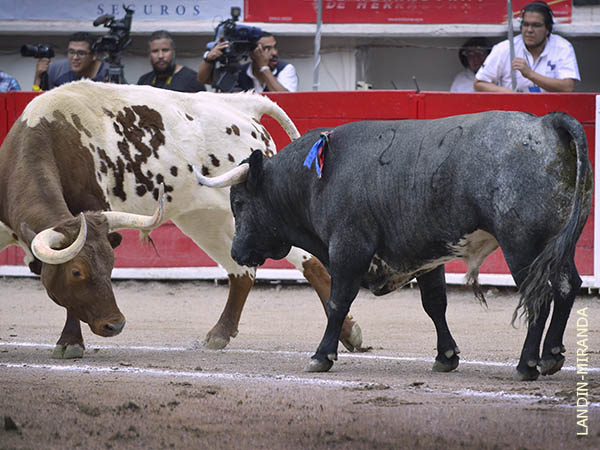 Situaci�n preocupante