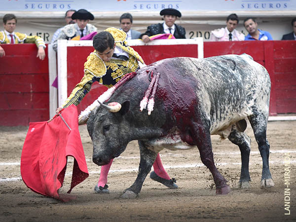 Sus faenas carecieron de clamor