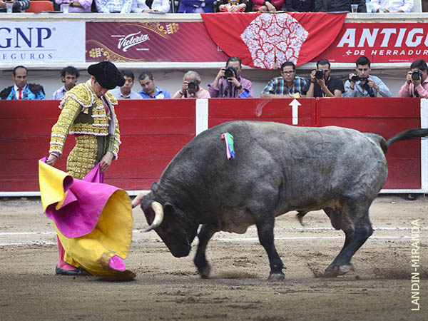 Apur� su recuperaci�n para venir