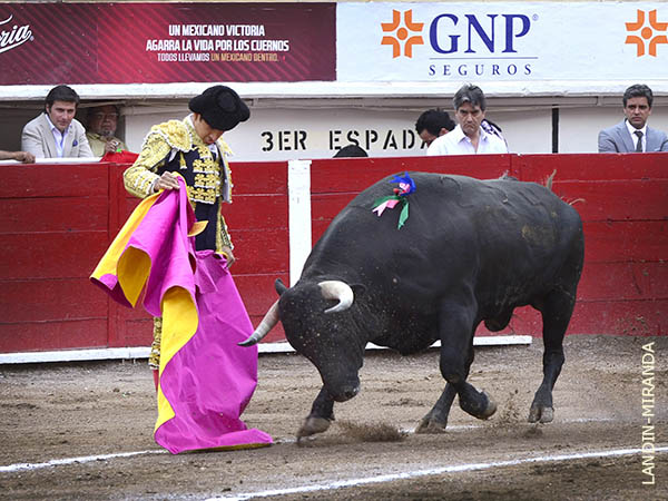 Ilusi�n en los inicios