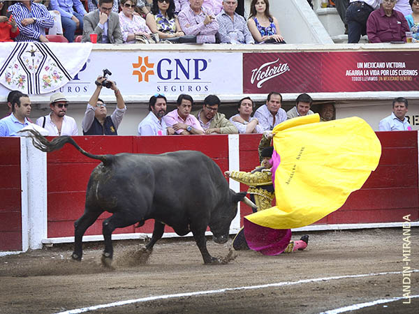 Determinaci�n y actitud