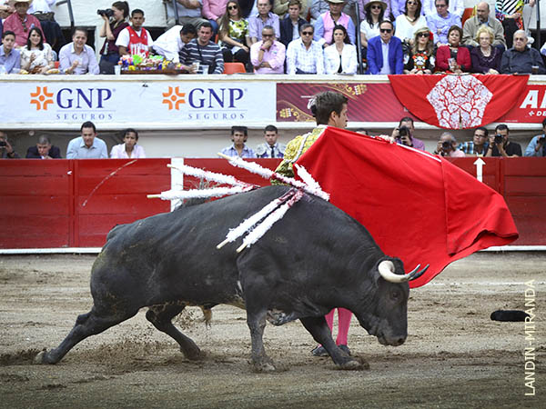 Desencanto generalizado