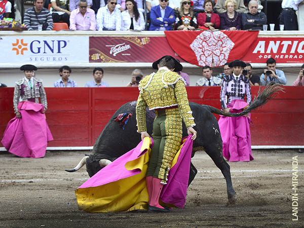 Desmayando los brazos