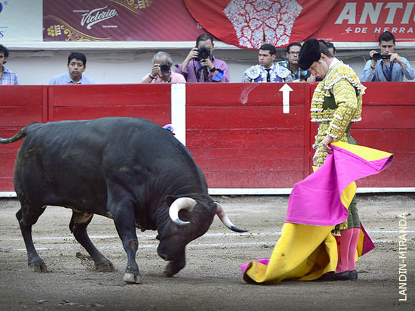 Expectaci�n por ver al madrile�o