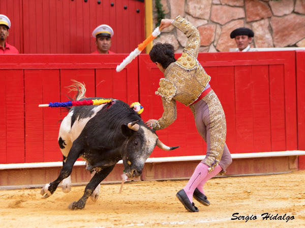 El tato cubriendo el segundo tercio