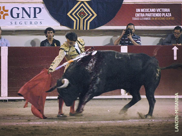 Sangr� hasta la pezu�a