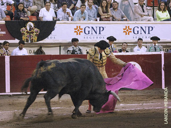 Alejandro L�pez, a la ver�nica