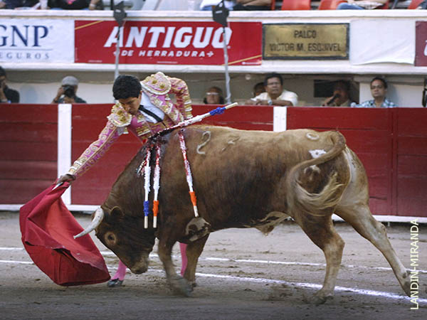 Se afan� en torearlo en el tercio