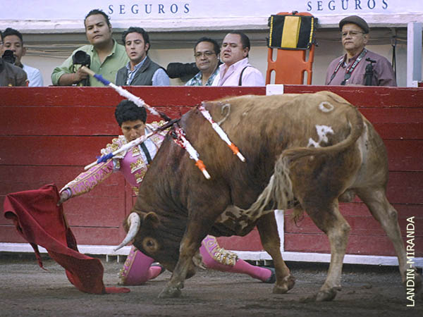 Frente al burladero de Pelayo