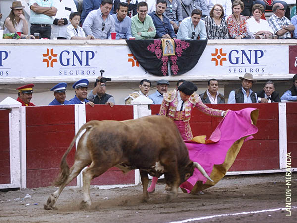 Luis Conrado, con un noble colorado