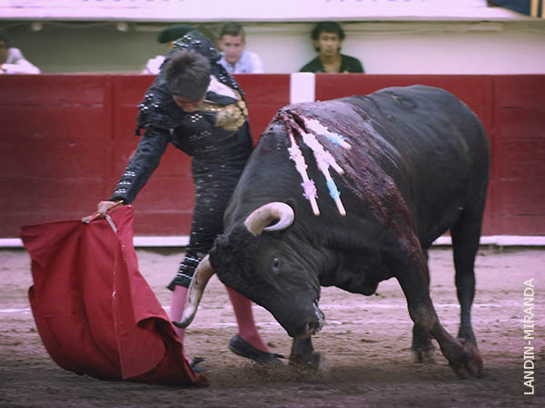 Clamando por oportunidades