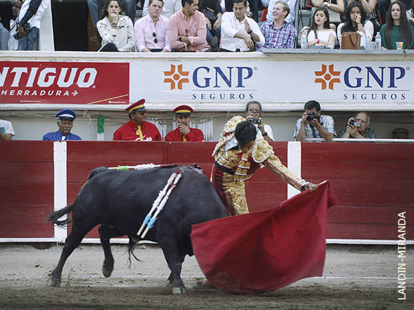 La faena m�s redonda