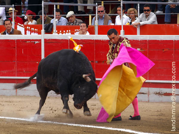 Zotoluco inicia la goyesca