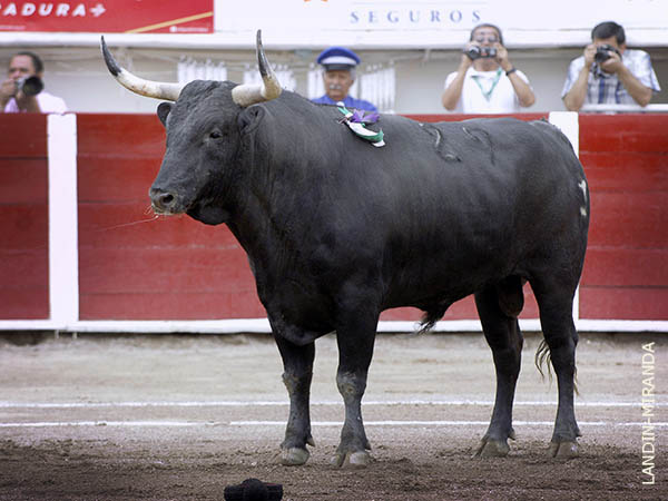 Se present� la ganader�a de Fraga