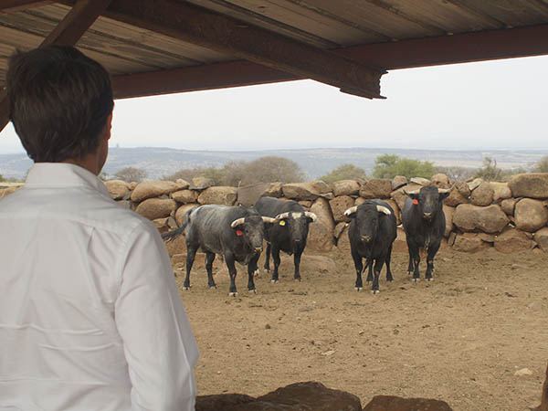 Unas horas para verse en la plaza