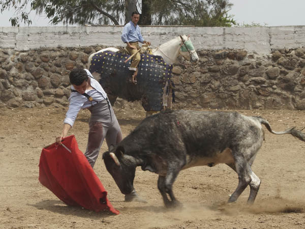 Tres ejemplares al colombiano