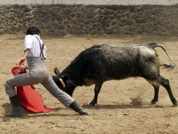 Estir�ndose con la c�rdena